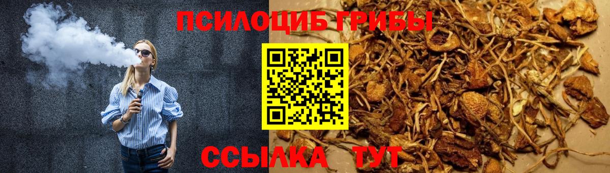 Псилоцибиновые грибы Cubensis Удомля